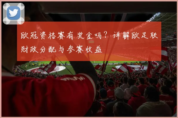 欧冠资格赛有奖金吗？详解欧足联财政分配与参赛收益